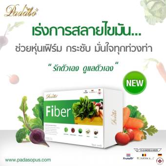 Padaso พาดาโซ่ ไฟเบอร์ 10 ซอง