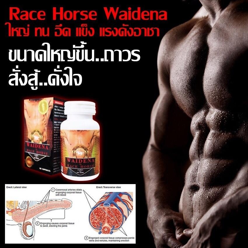 WAIDENA BY RACEHORSE วายดีน่า บาย เรซฮอร์ส สำหรับการรักษา และบำรุงสุขภาพของท่านชาย บำรุงสุขภาพของท่านชาย เพิ่มสมรรถภาพ ทางเพศ แข็ง อึด ทน แข็ง ใหญ่ ยาวขึ้น ของแท้ 100% 1 กล่อง 60 เม็ด