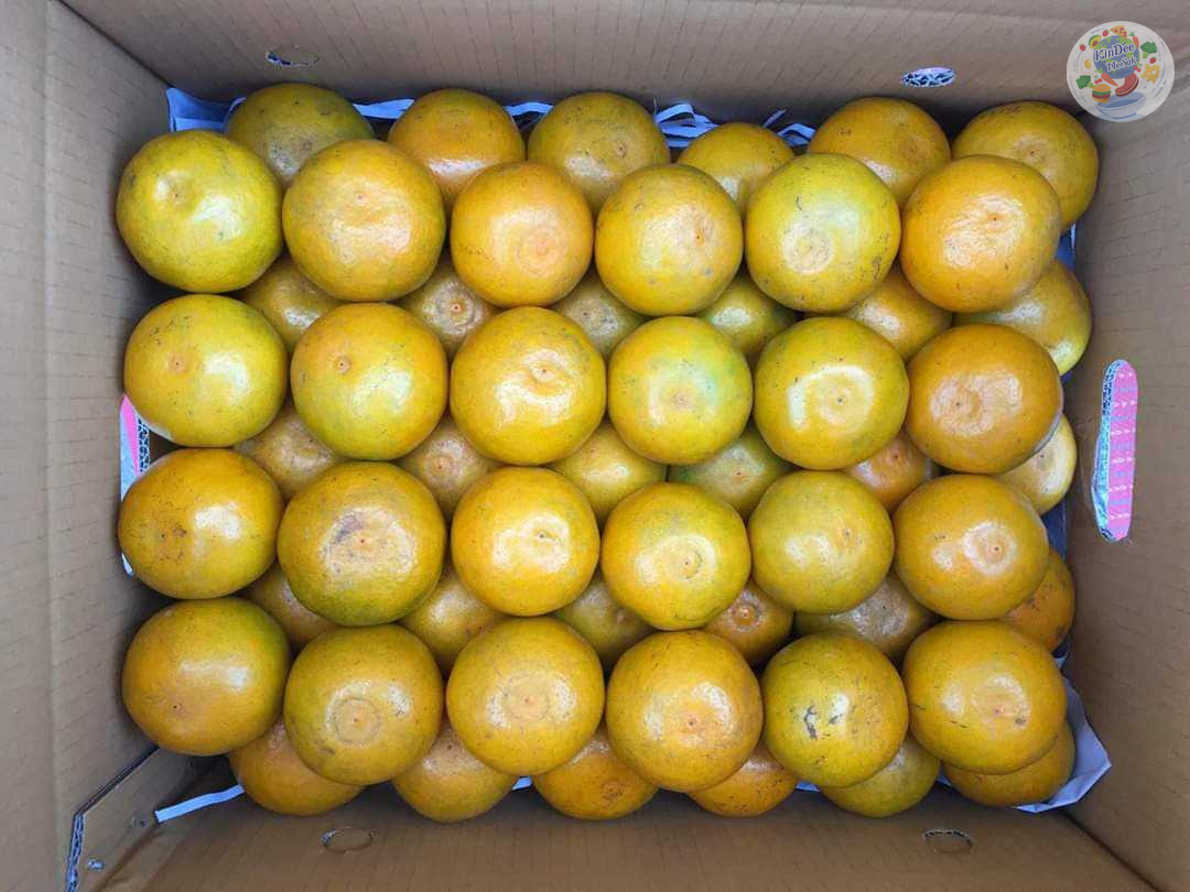 พร้อมส่ง ส้มสายน้ำผึ้ง เบอร์ 6 แท้ จากอ.ฝาง กล่อง 10 กิโล