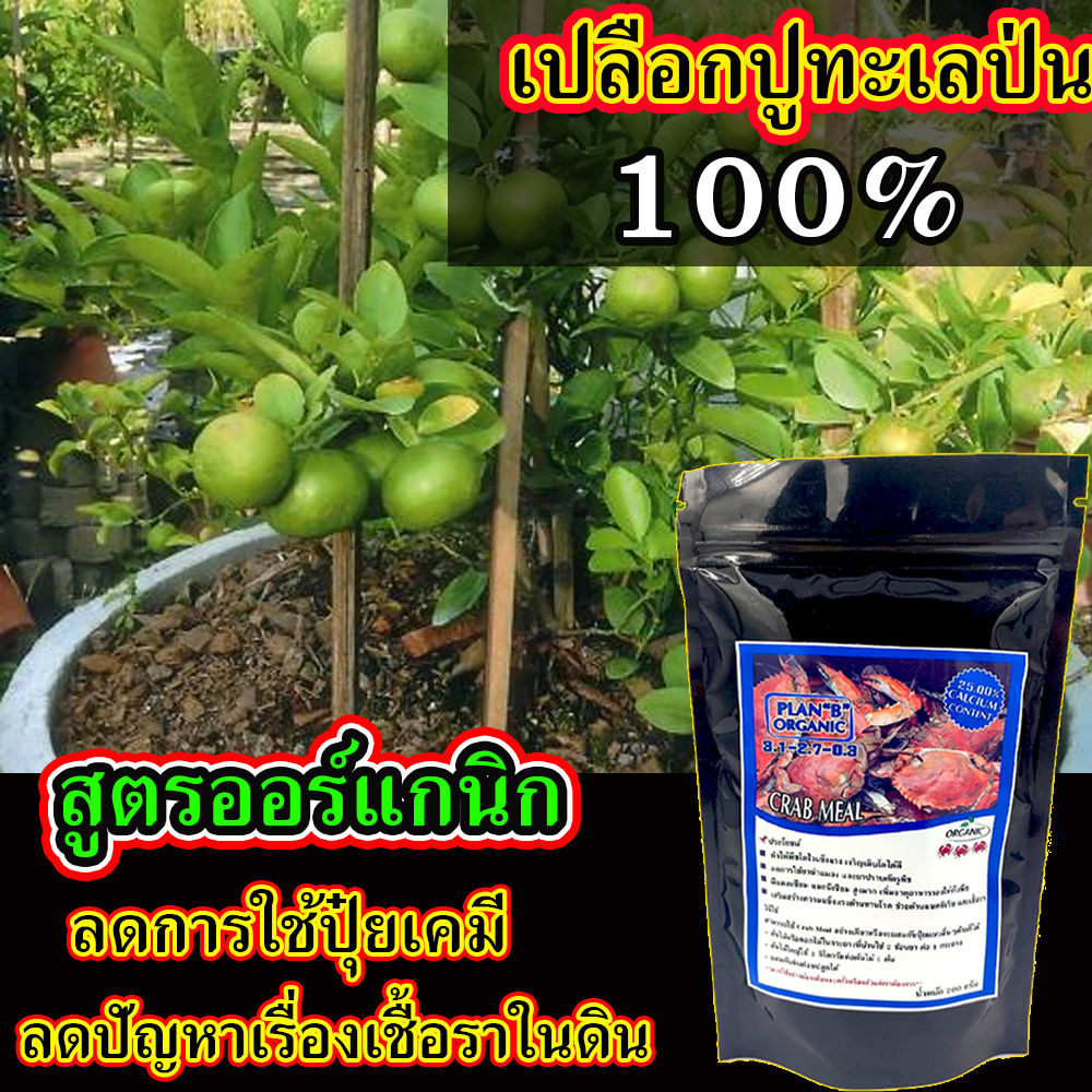 เปลือกปูทะเลป่น Crab Meal 🦀 CalMag มีแร่ธาตุมาก ปุ๋ยอินทรีย์ ใช้ปรับ