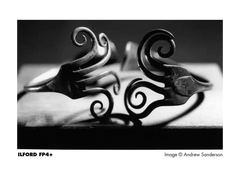 ภาพสินค้าฟิล์มขาวดำ ILFORD FP4 Plus 125 35mm 135-36 Black and White Film จากร้าน bkkfilm88 บน Lazada ภาพที่ 3
