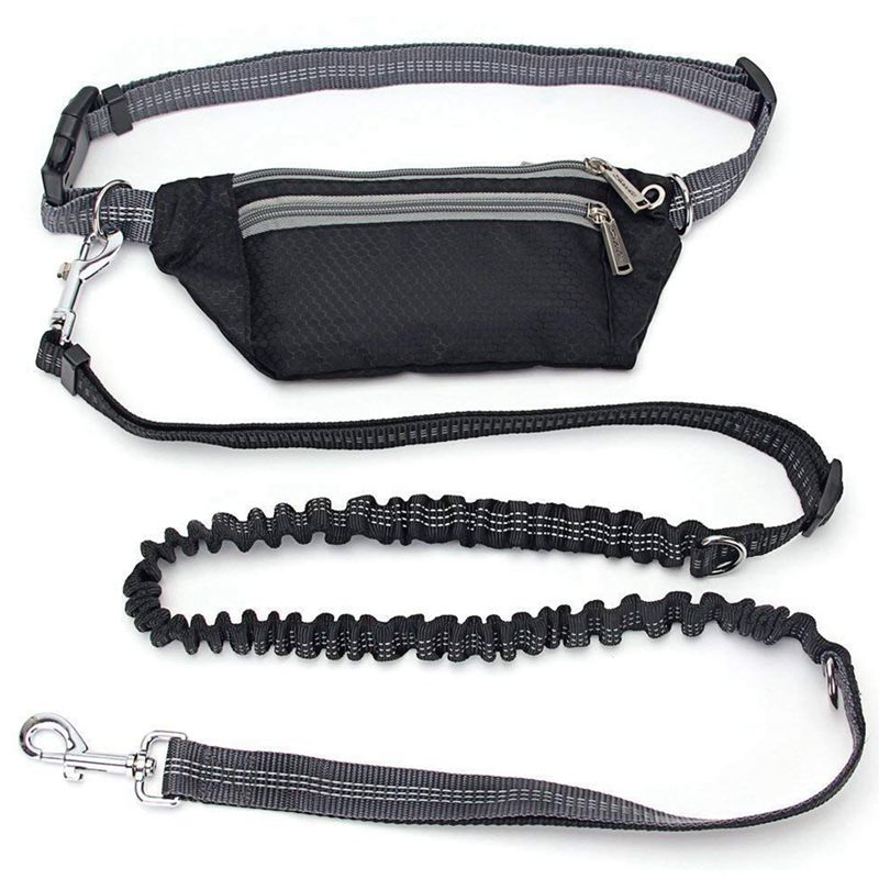 Hands Free Running Dog Leash with Retractable Bungee, Adjustable Waist Belt, Dual Handles, Night Reflective Design