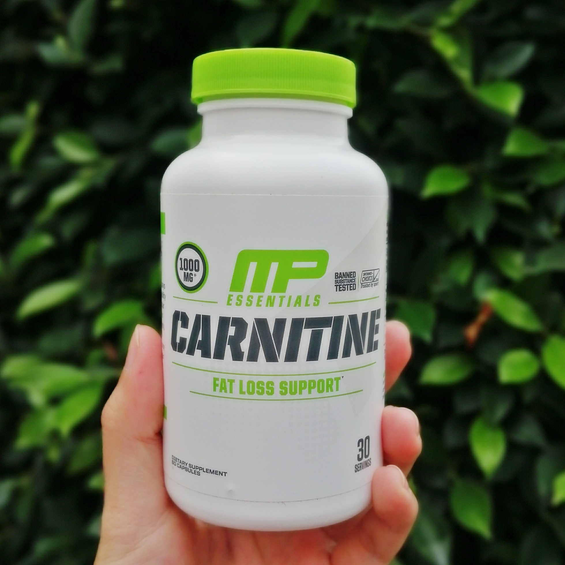 คาร์นิทีน Carnitine Fat Loss Support 60 Capsules (MusclePharm®) Acetyl-L-Carnitine
