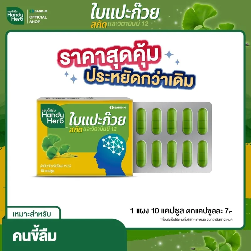 ภาพสินค้าHandyHerb ใบแปะก๊วยสกัด ขนาดแผงคุ้มค่า สมุนไพรเสริมความจำ ทานประจำคุ้มกว่า จากร้าน HandyHerb บน Lazada ภาพที่ 1