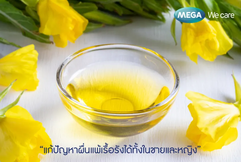 ภาพสินค้าMega We Care Evening Primrose 30 Capsules เมก้า วี แคร์ อีฟนิ่งพริมโรส 30 แคปซูล จากร้าน MEGA PHARM CARE บน Lazada ภาพที่ 1