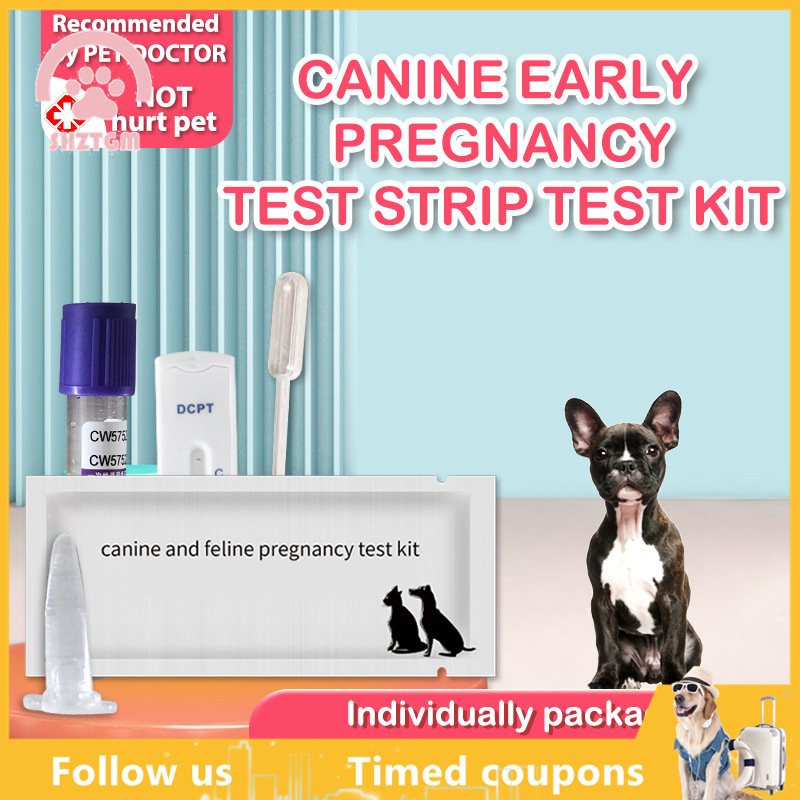 is there a pregnancy test for dogs