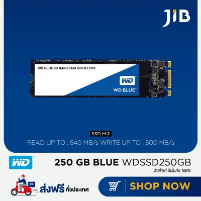 (Best Seller) WD SSD (เอสเอสดี) BLUE 250 GB (WDSSD250GB) 3D NAND M.2 2280 ( Hard disk external / Hard disk SSD )