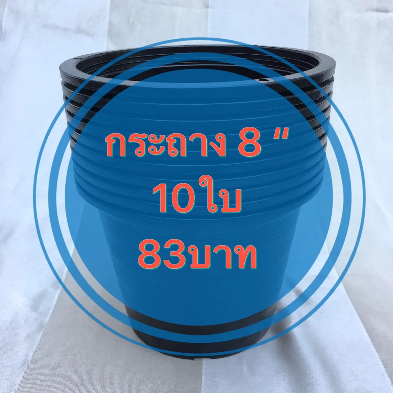 กระถาง 8 นิ้ว (แพ็ค 10 ใบ ขนาดจริง 7.5 นิ้ว) กระถางพลาสติก 8 นิ้ว กระถางดำ 8 นิ้ว กระถางต้นไม้ กระถางราคาถูก กระถางแขวน