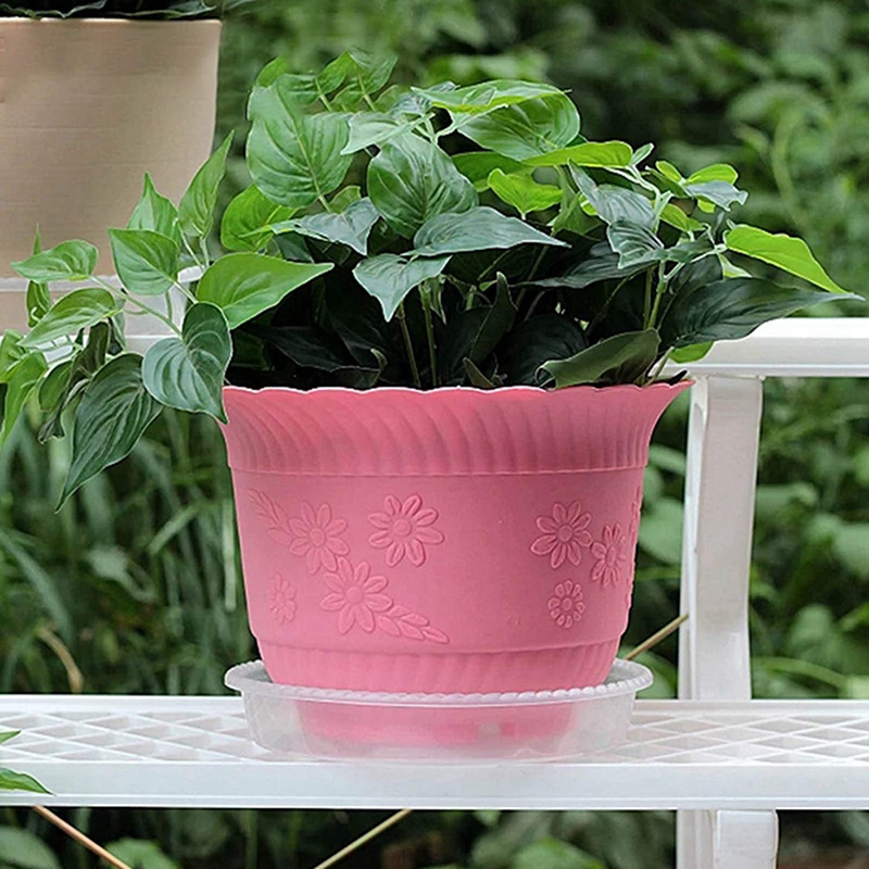 Plant Saucers, 10 Pack of 30cm (12 Inch), Transparent Flower