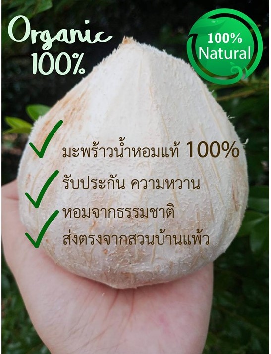 มะพร้าวน้ำหอมแท้ 100%  จากสวนบ้านแพ้ว Coconut Water สดใหม่จากต้น  น้ำหอมหวานมาก จากธรรมชาติ