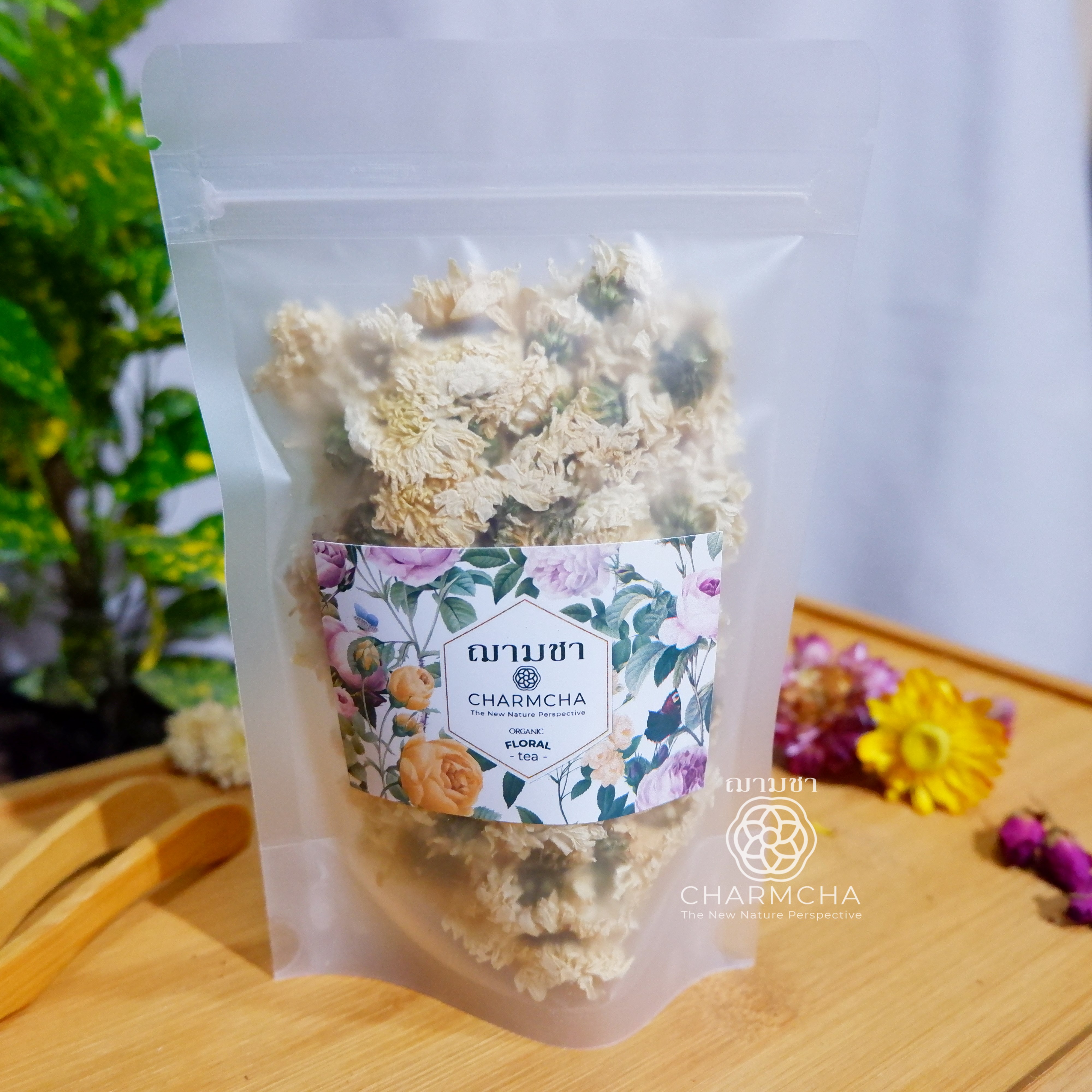 ชาดอกเก็กฮวยขาว (White chrysanthemum Flower Tea) แก้ร้อนใน วิตามินซีสูง ช่วยให้หลอดเลือดแข็งแรง ชาดอกไม้ Charmcha ฌามชา