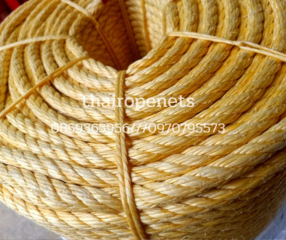My Image 5