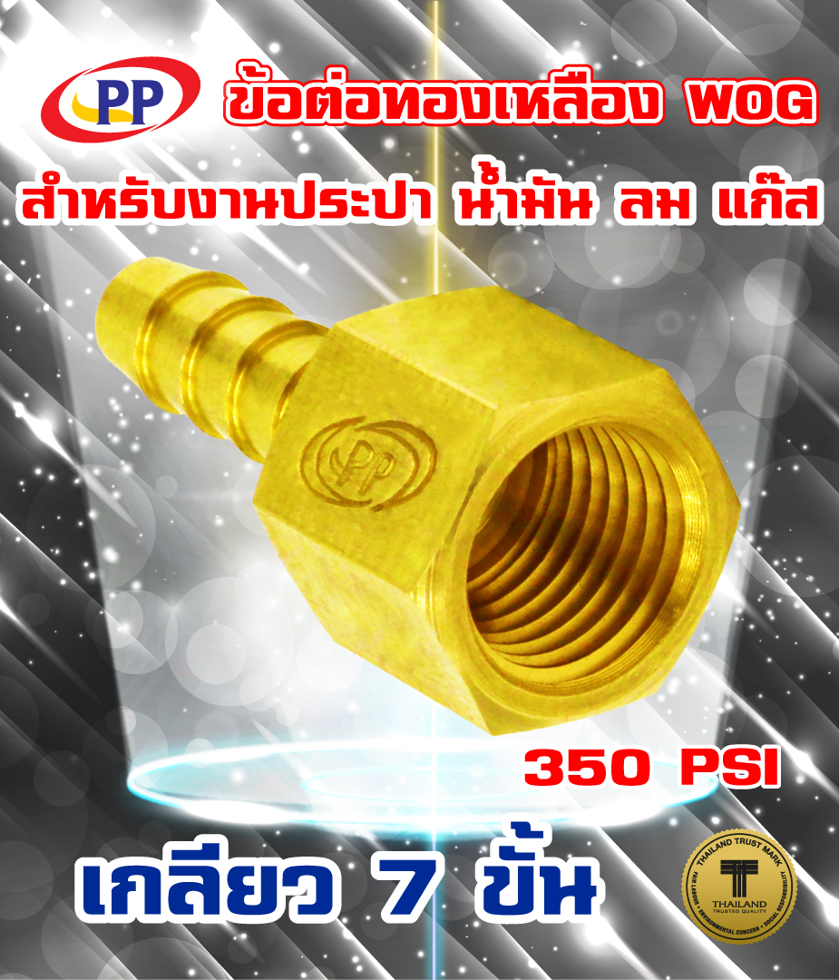 ข้อต่อทองเหลือง หางปลาไหลเกลียวใน  ขนาด 3/8นิ้ว(3หุน)  WOG (ประปา/น้ำมัน/ลม/gas)