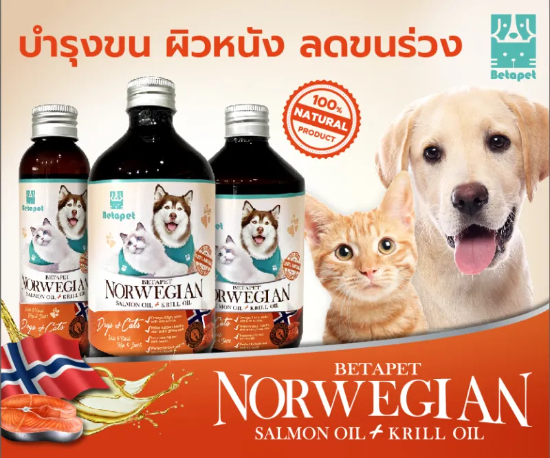 ภาพหน้าปกสินค้าส่งไวมาก  น้ำมันปลาแซลมอนแท้Premium นำเข้าจากNorway สำหรับสัตว์เลี้ยง สุนัข หมา แมว Salmon oil for pet 100% จากร้าน Betapetthailand  บน Lazada