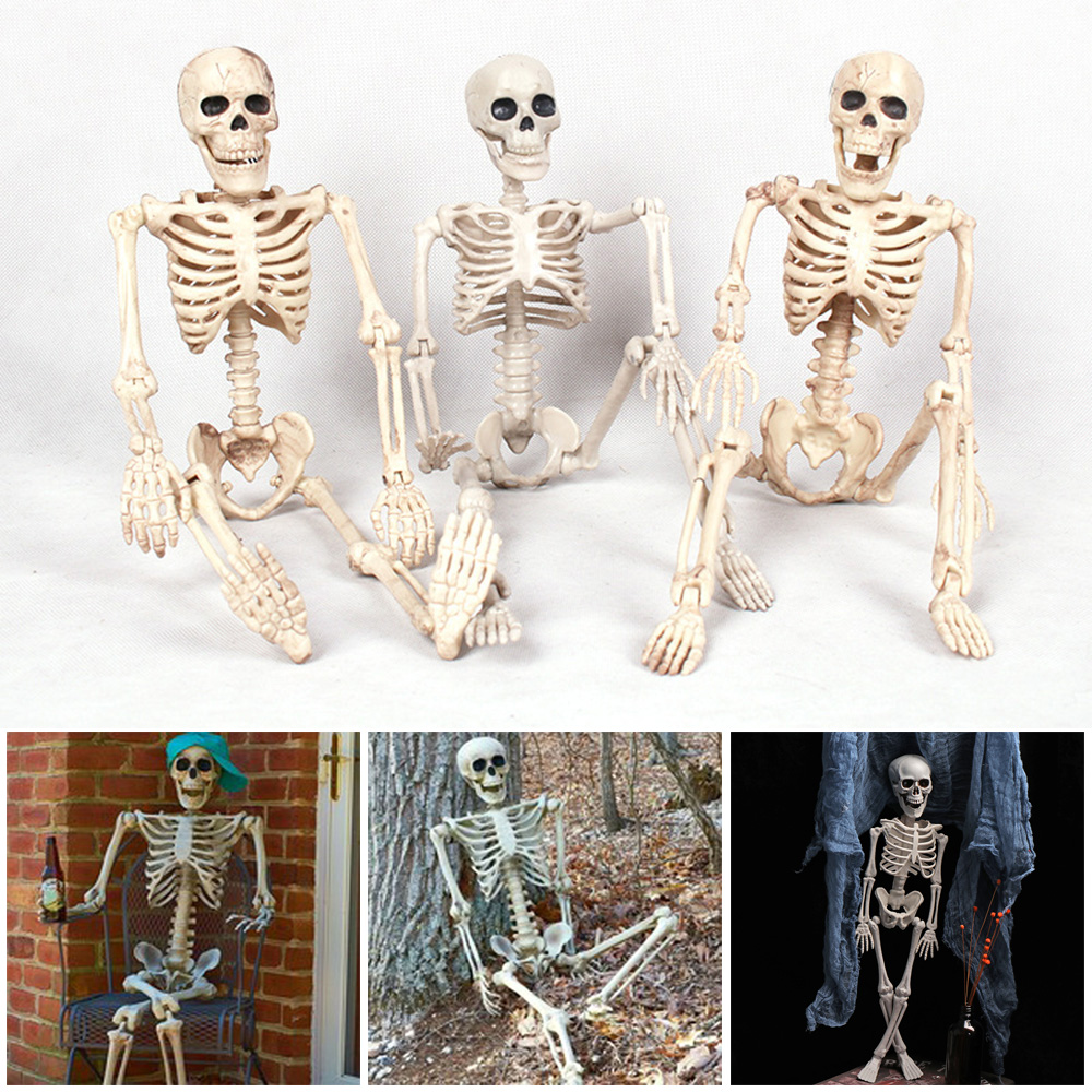 XIUZH 1 PC 40CM Photography Props Anatomical Anatomy Halloween Bone Human Skeleton Model