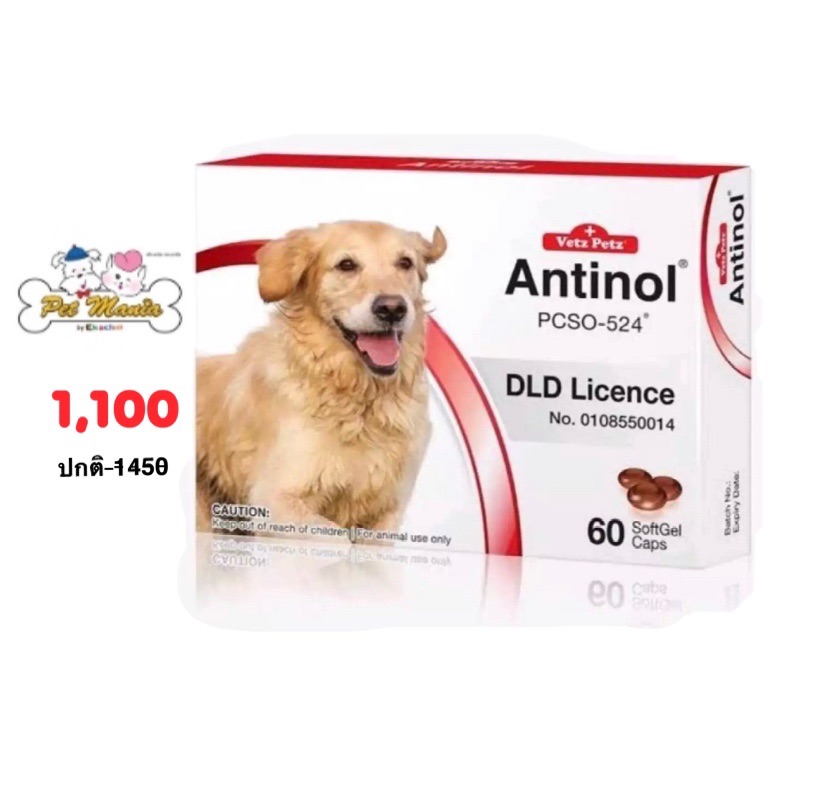 Antinol DOG อาหารเสริมบำรุงข้อสำหรับสุนัข 1กล่อง บรรจุ 60 เม็ด