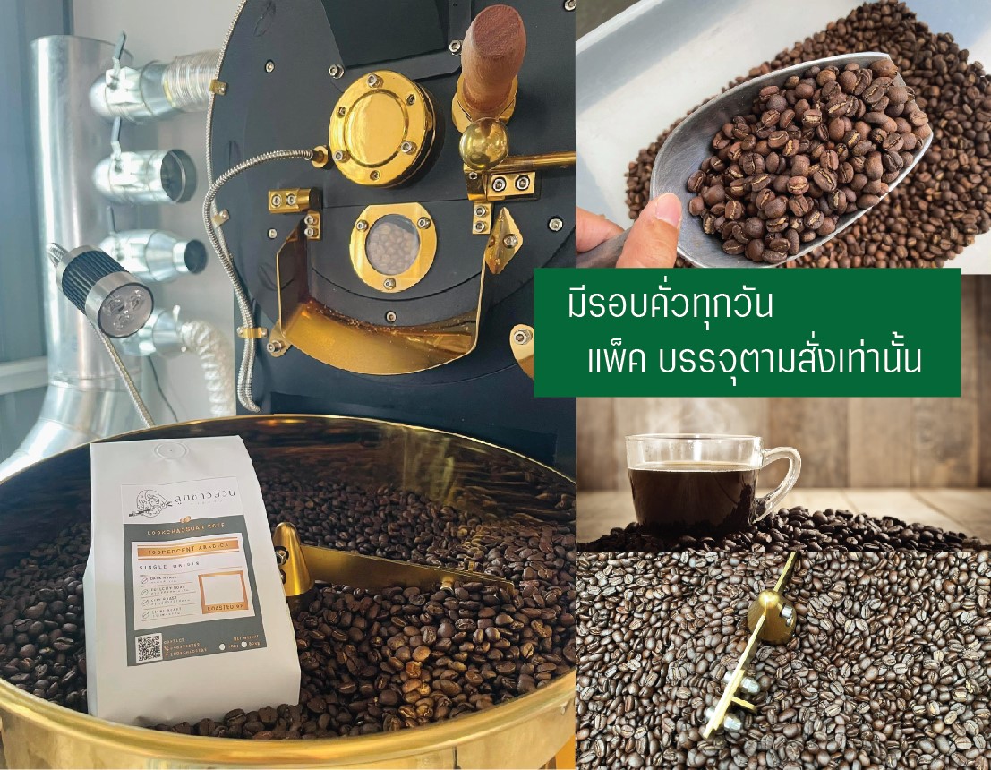กาแฟคั่ว 500 กรัม (คั่วกลางเข้ม FullCity) ดอยผาฮี้ อาราบิก้า100 Washed ...