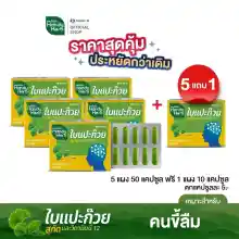 ภาพขนาดย่อของภาพหน้าปกสินค้าHandyHerb ใบแปะก๊วยสกัด ขนาดแผงคุ้มค่า สมุนไพรเสริมความจำ ทานประจำคุ้มกว่า จากร้าน HandyHerb บน Lazada ภาพที่ 3