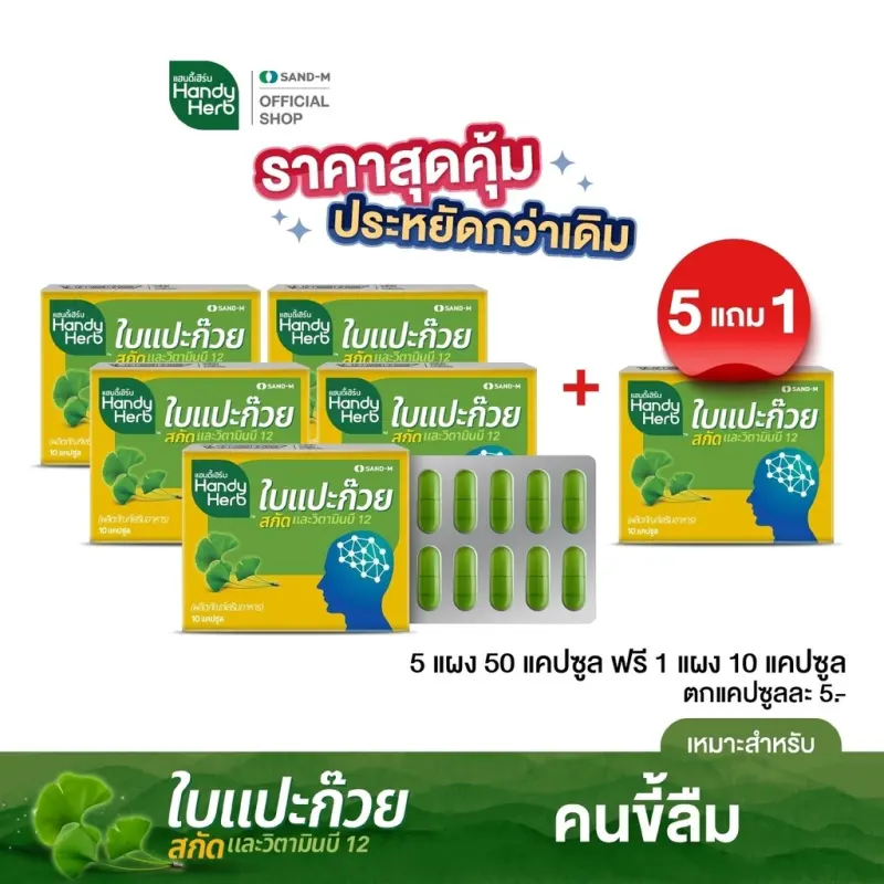 ภาพสินค้าHandyHerb ใบแปะก๊วยสกัด ขนาดแผงคุ้มค่า สมุนไพรเสริมความจำ ทานประจำคุ้มกว่า จากร้าน HandyHerb บน Lazada ภาพที่ 3