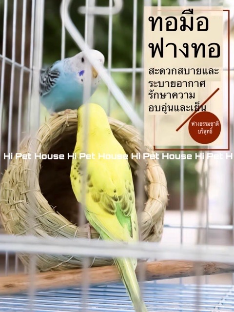 🐾Hi Pet🐾 Bird's nest บ้านนก นกแก้วขนาดเล็ก ฟอพัส เลิฟเบิด หงหยก มีพร้อมส่ง【CS0005】