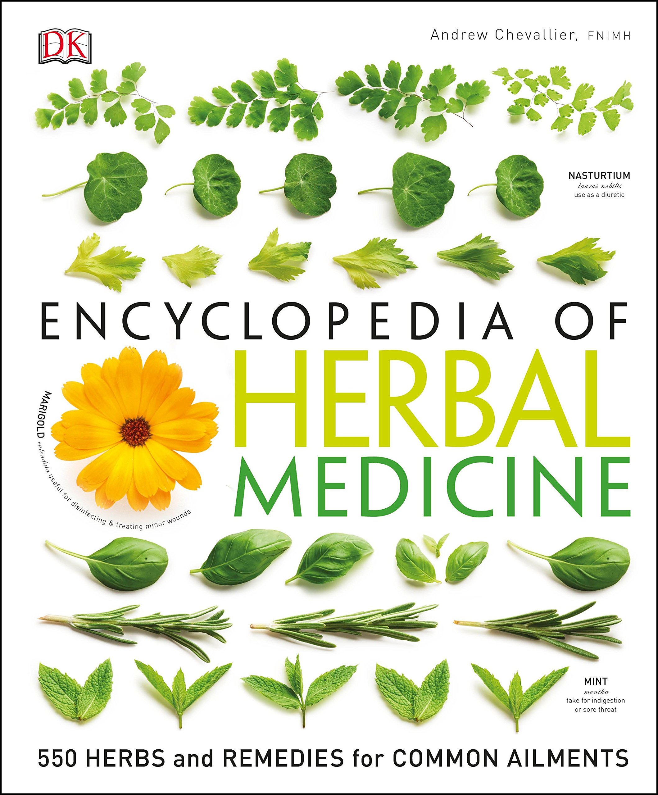 Encyclopedia Of Herbal Medicine: 550 Herbs and Remedies for Common Ailments [Hardcover]