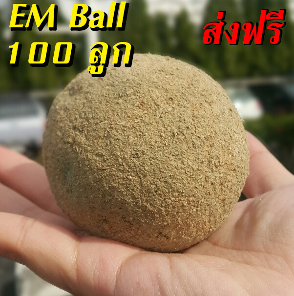 [ ส่งฟรี ] EM Ball จุลินทรีย์ บำบัดน้ำเสีย ชนิดก้อน 1 ลังบรรจุ 100 ลูก ทำให้น้ำใส ลดกลิ่นเน่าเหม็นใน บ่อกุ้ง บ่อปลา