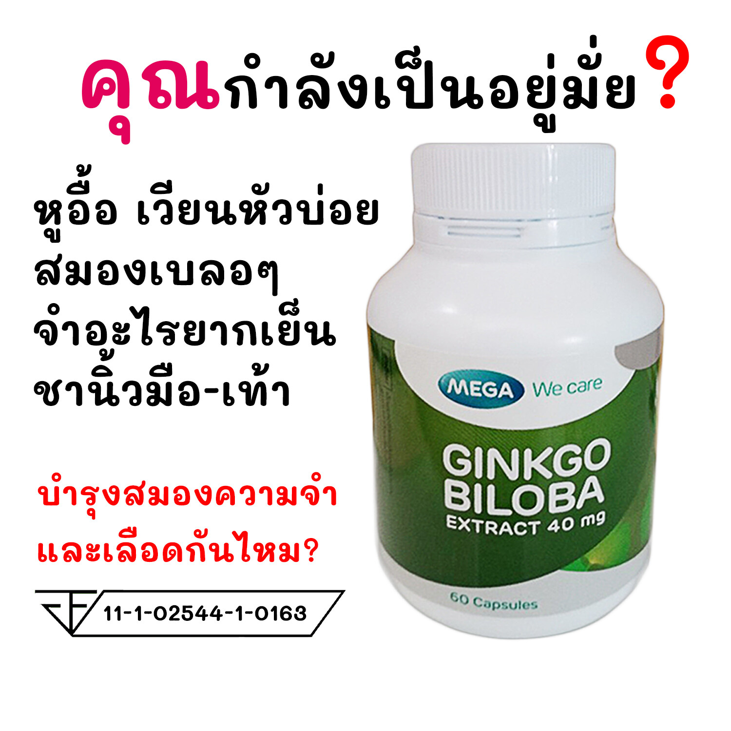 วิตามินบํารุงสมอง ความจำ ยาแก้หูอื้อ เวียนหัว วิตามินบำรุงเลือด วิตามิน บํารุงสมอง วัยเรียน คนแก่ วัยทำงาน พักผ่อนน้อย Ginkgo Biloba 60 แคปซูล - Ns  Healthy - Thaipick