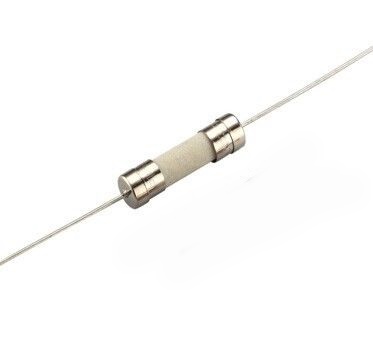 (5ตัว) 8A 250V , T8AH250V , เซรามิคฟิวส์ มีขา CERAMIC FUSE 5x20mm ...