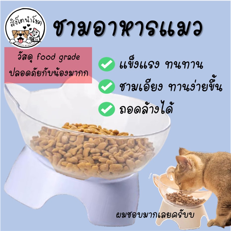 ??สิงโตนำโชค?? ชามใส่อาหารแมว รูปแมว ชามข้าวแมว ชามอาหารแมว ชามใส่อาหารสัตว์เลี้ยง ที่ใส่อาหารสัตว์เลี้ยง สัตว์เลี้ยง