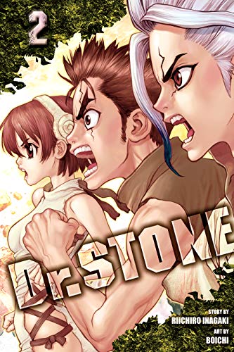 Dr. Stone 2 (Dr. Stone) [Paperback] (English ver.)