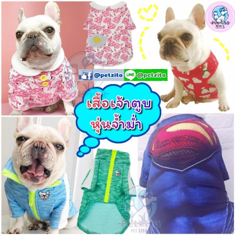 🇹🇭พร้อมส่ง🇹🇭🐶🐷เสื้อแฟชั่นน้องหมาท้วมอ้วน งานเกรดเริดๆจ้า