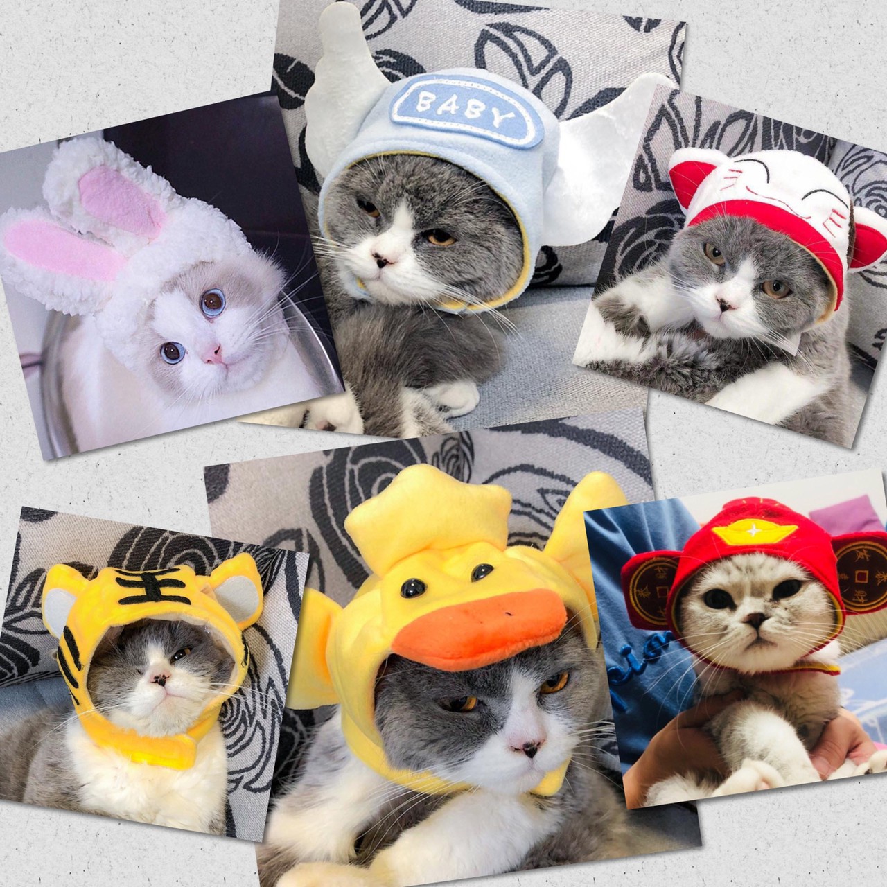หมวกสัตว์เลี้ยง คลุมหัวสัตว์ หมวกแมว หมวกกระต่าย หมวกสุนัข แฟชั่นสัตว์ น่ารัก