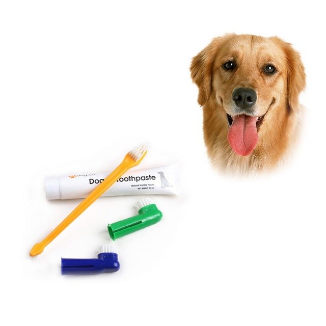 ชุดแปรงสีฟันสัตว์เลี้ยง รุ่นแปรงปกติ และรุ่นสวมนิ้ว สำหรับสุนัขและแมว 3 ชิ้น/แพ็ค Pet Toothbrush Set แปรงสีฟัน แปรงฟันสุนัข แปรงฟันแมว แปรงสีฟันแมว แปรงสีฟันสุนัข ) T0241