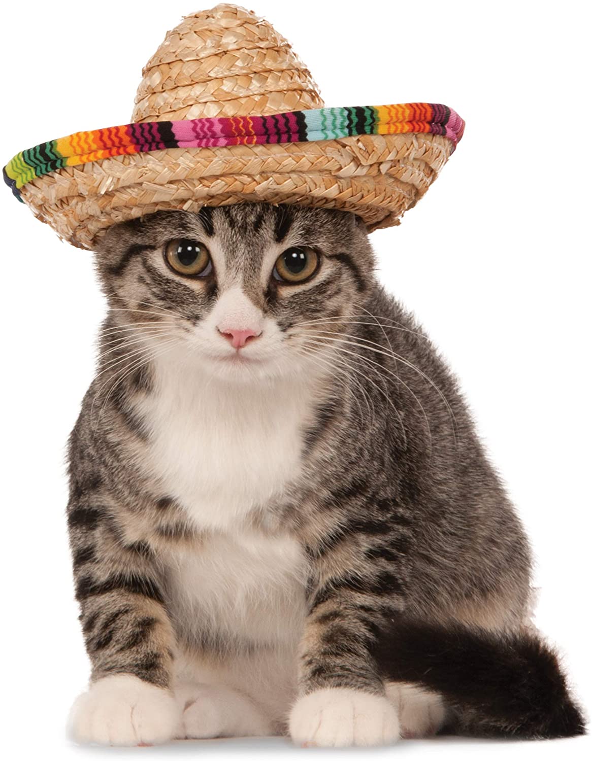 Pet Sombrero Hat หมวกปีกกว้างหลากสี สำหรับสุนัขและแมว แฟชั่นสัตว์เลี้ยง