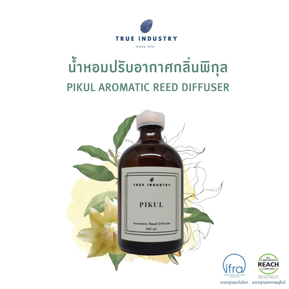 Hot Sale น้ำหอมปรับอากาศ กลิ่นพิกุล (Pikul Aromatic Reed Diffuser) ราคาถูก เทียนหอม เทียนหอมคริสมาส