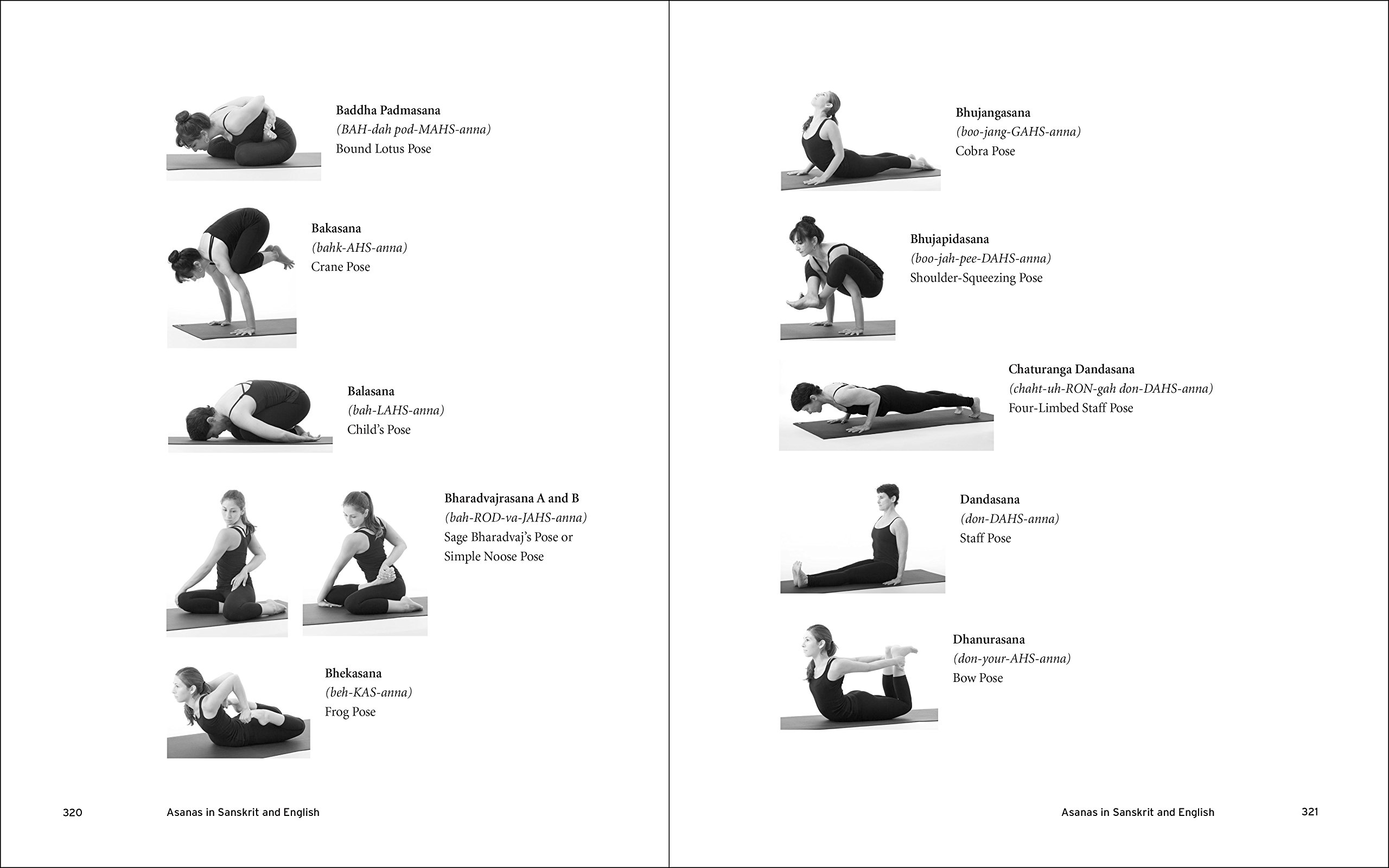 Yoga Adjustments : Philosophy, Principles, and Techniques พร้อมส่ง  หนังสือใหม่มือ1
