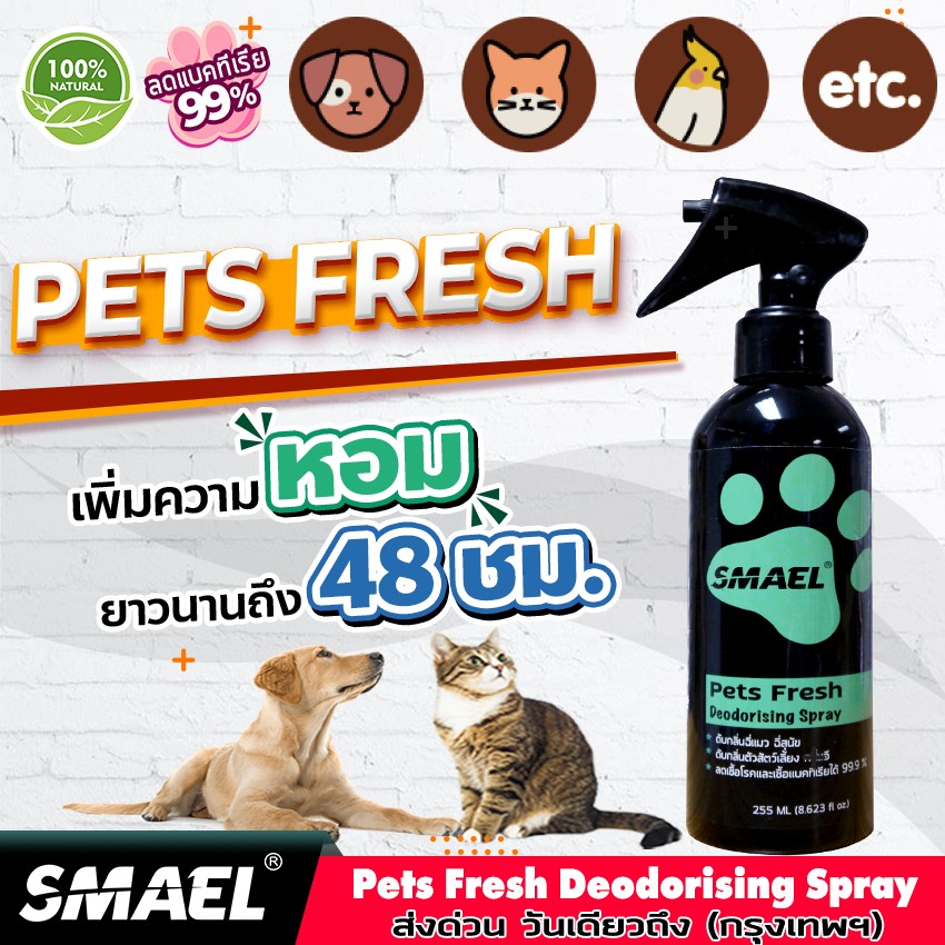 SMAEL 255 ml. สเปรย์ ฆ่าเชื้อแบคทีเรีย ดับกลิ่นฉี่หมาแมวและทำความสะอาด/สเปรย์ดับกลิ่นเหม็นและทำความสะอาดอเนกประสงค์/สเปรย์ดับกลิ่นฉี่บนที่นอนโซฟาและทำความสะอาด/สเปรย์ดับกลิ่นและทำความสะอาดหนัง/สเปรย์ดับกลิ่นและทำความสะอาด สารสกัดจากพืชธรรมชาติ #S001 ^AZ