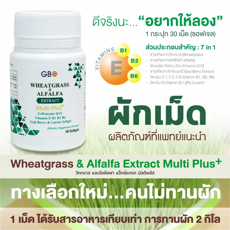 ภาพสินค้าผักเม็ด Wheatgrass & Alfalfa Extract Multi Plus+ Q10 ** ฟรีค่าส่ง ** จากร้าน Wheatgrass & Alfalfa Plus  บน Lazada ภาพที่ 1