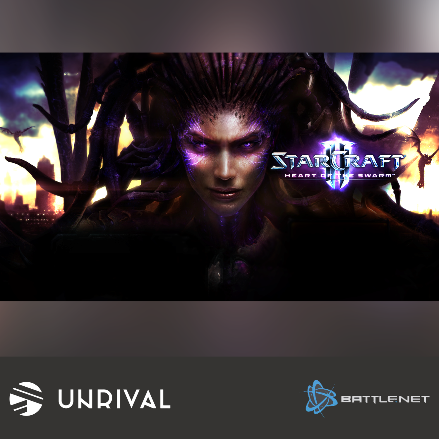 Starcraft II 2: Heart of the Swarm Digital Download Game - Unrival