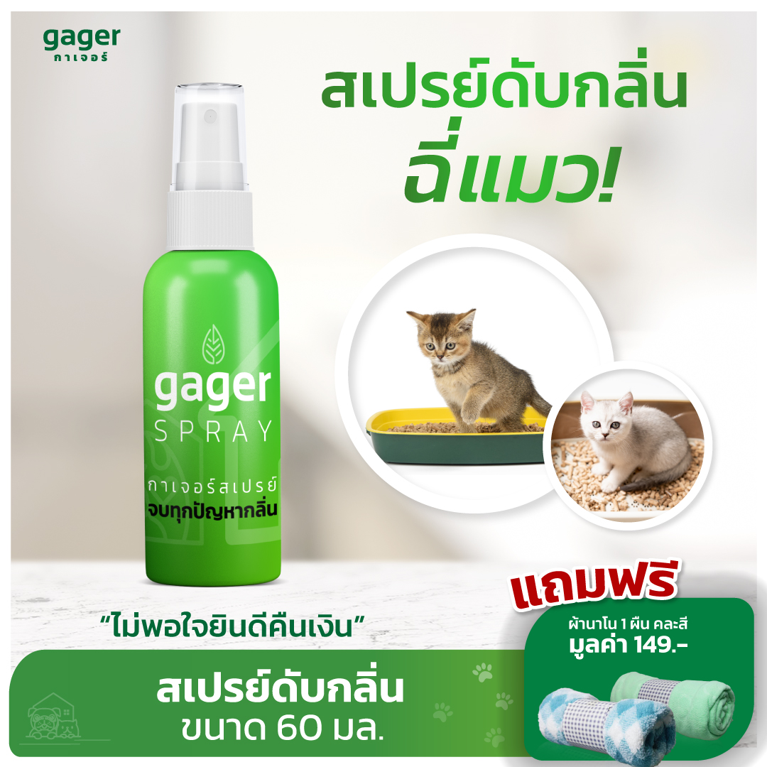 Gager กาเจอร์ สเปรย์ดับกลิ่นฉี่แมว ดับกลิ่นทรายแมว สเปรย์กำจัดกลิ่นและสลายกลิ่น ฉีดบนตัวแมวและสุนัขได้ Deodorizer Spray 60ml.