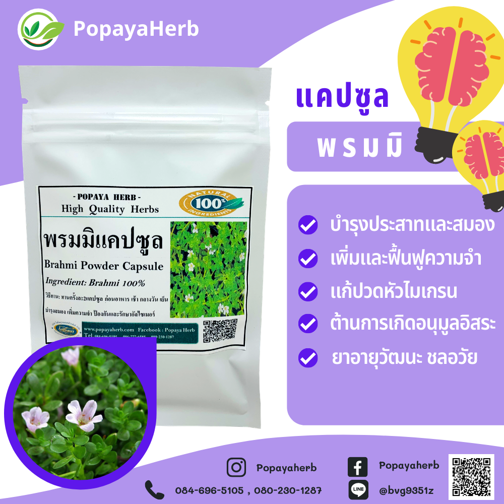 พรมมิ 100แคปซูล Brahmi100% เพิ่มความจำ ต้านอัลไซเมอร์