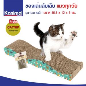 Cat Toy ของเล่นข่วนเล็บ ที่ลับเล็บแมว ที่นอนแมว กระดานเล็ก สำหรับแมว ขนาด 45.5x12x5 ซม. ฟรี! Catnip กัญชาแมว