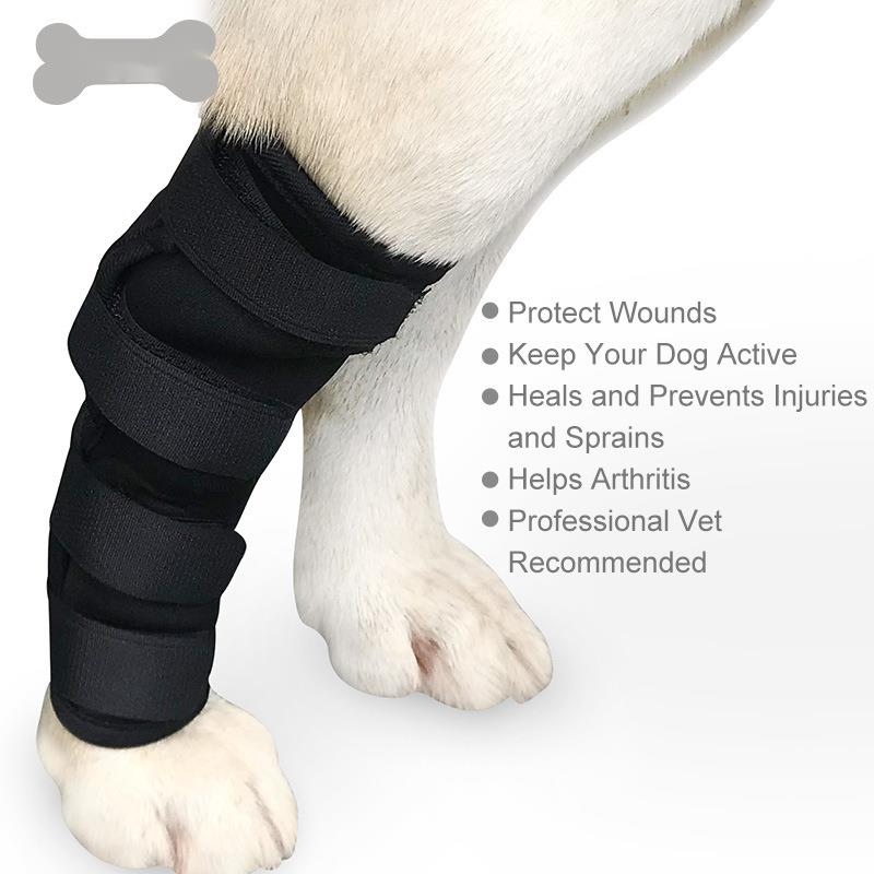 Pet Dog Bandages Dog Injurie Leg Knee Brace Strap Protection For Dogs