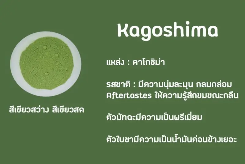 ภาพสินค้าCHADO Kagoshima Matcha คาโกชิม่า มัทฉะ ผงชาเขียว พร้อมชง ตรา ชาโดะ ขนาด 200 กรัม จากร้าน ESPRESSOMAN & CHADO Matcha บน Lazada ภาพที่ 4