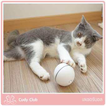 ของเล่นแมว Cudy club ลูกบอลแมว ไฟเลเซอร์ล่อแมว ลูกบอลกลิ้งไปมาพร้อมระบบเคลื่อนที่อัตโนมัติ ให้น้องแมวเล่นสนุกสนานหายเบื่อ