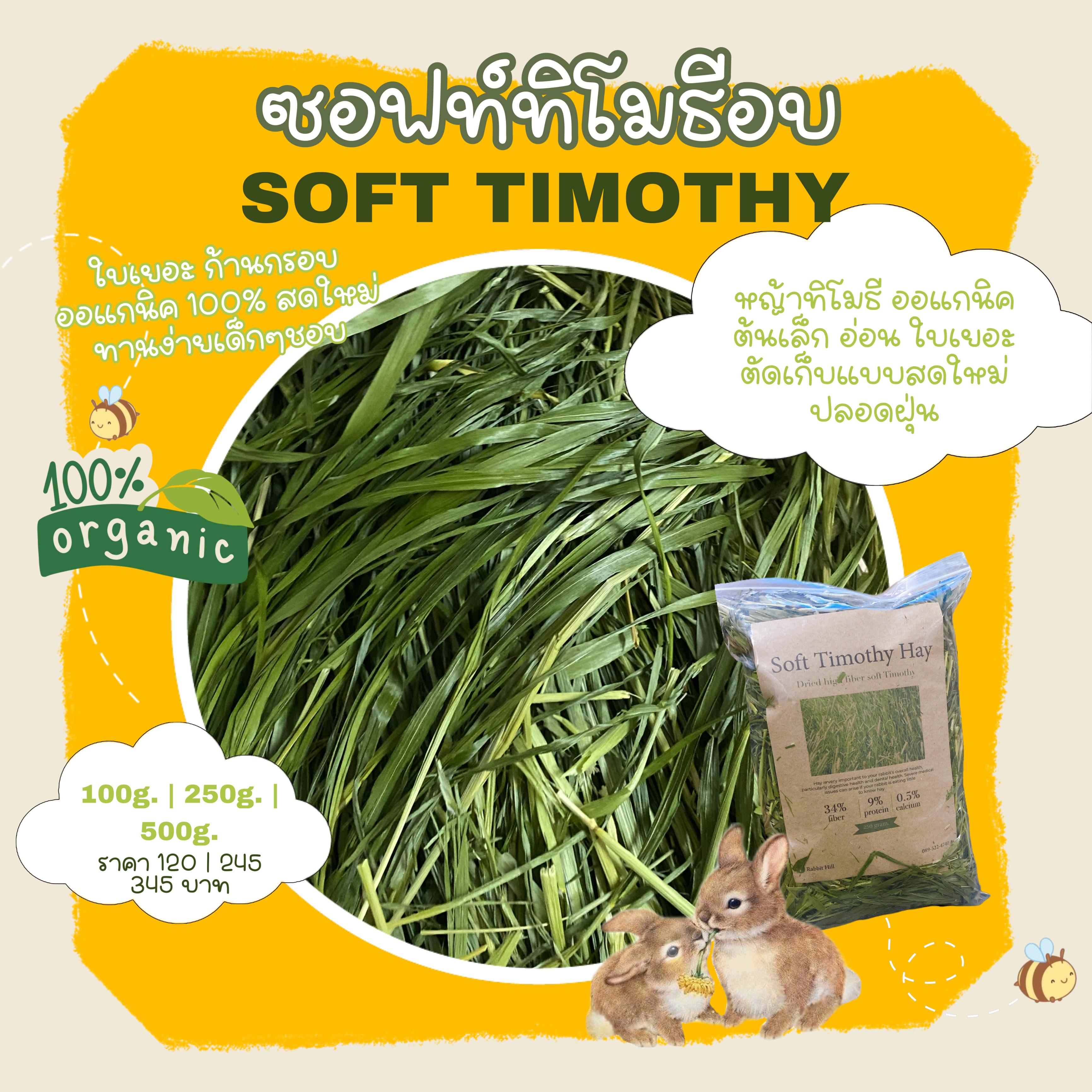ราน รบ ซอ ถง แกส หง ตมTimeline Groups - m8o1sn3