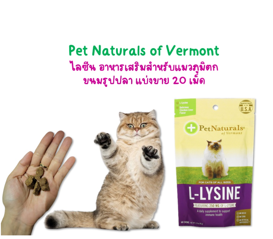 LLysine for Cats, ไลซีนแมว เสริมภูมิแมว อาหารเสริมแมว ขนมรูปปลา 90