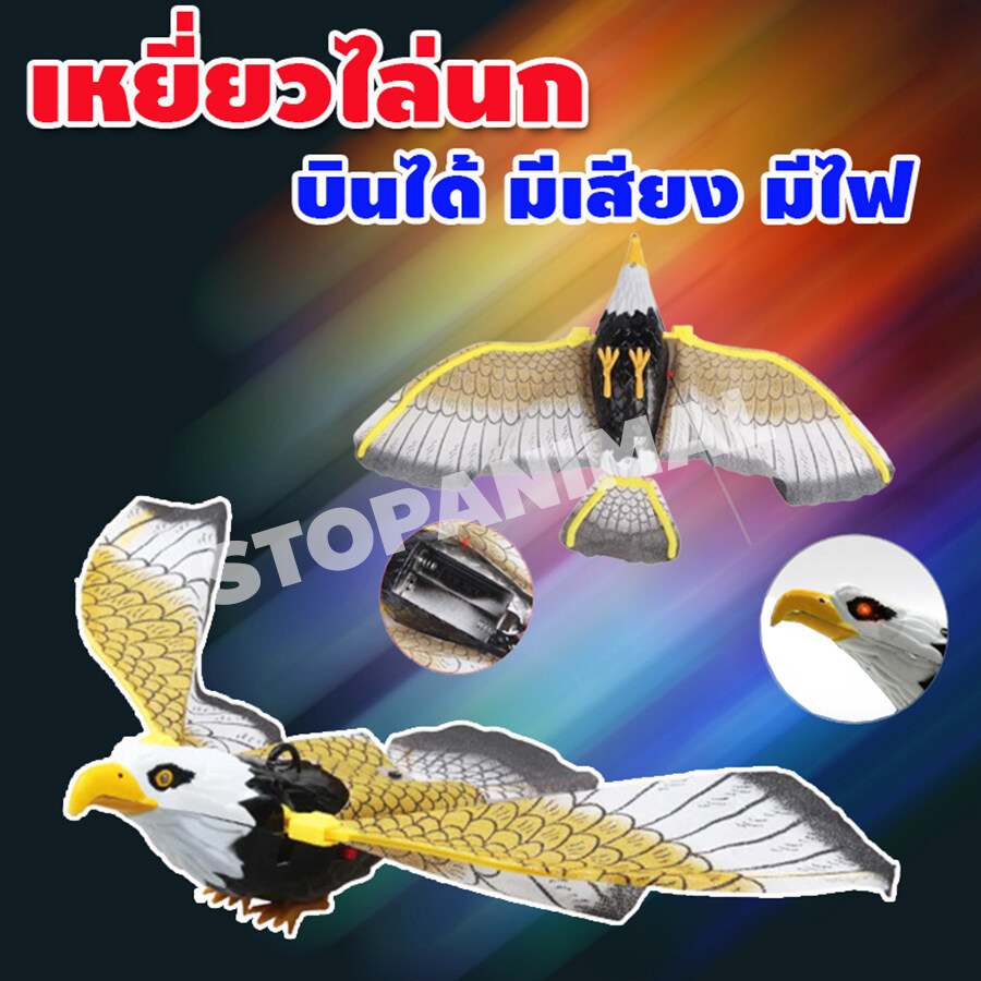 My Image 4