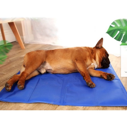 Deemar Pet Cool mat แผ่นเจลเย็น ที่นอนเย็น เบาะนอนเย็น สำหรับสุนัขและแมว A0004 90*50 (L)