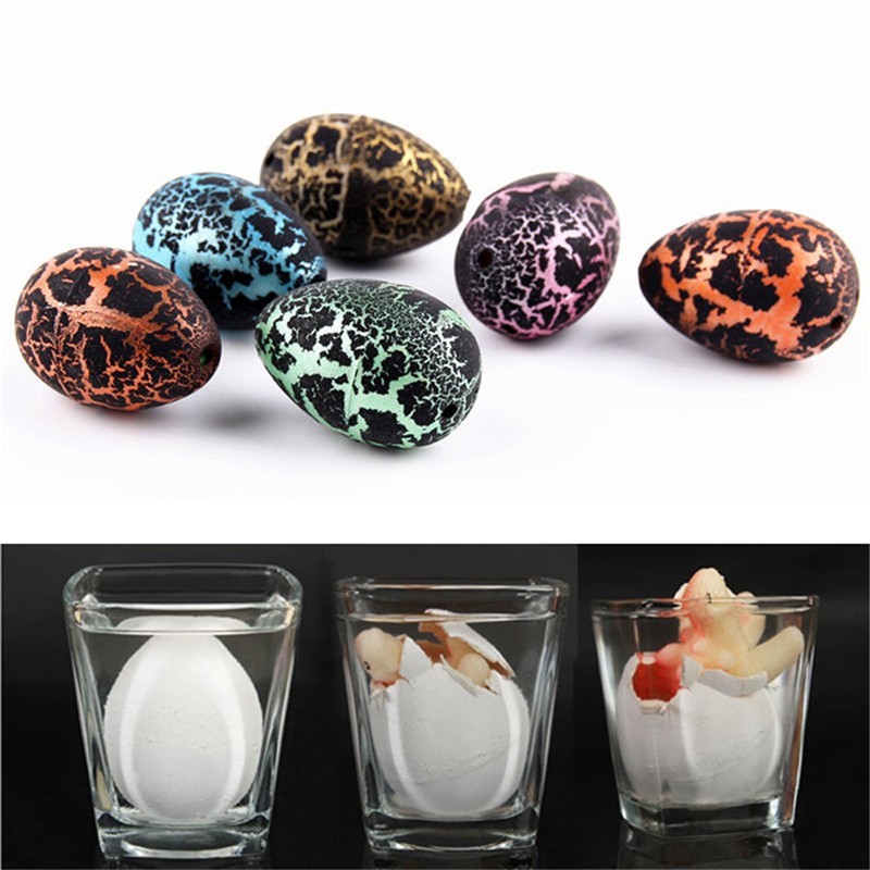 Hatching egg cheap toy water